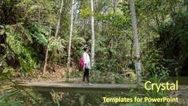  Presentation with forest bridge - Presentation theme consisting of woman walk on the bridge background and a  colored foreground