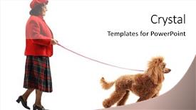  Presentation with poodle - Presentation theme featuring full length profile shot of an elderly woman walking a red poodle dog isolated on white background background and a white colored foreground