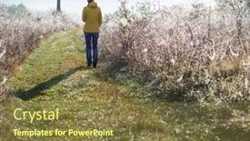  Presentation with social distancing - Slide set featuring woman-walking-alone-in-autumn background and a tawny brown colored foreground
