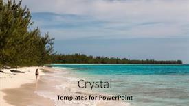  Presentation with walking cat - Amazing PPT theme having woman-walking-along-the-shoreline backdrop and a lemonade colored foreground