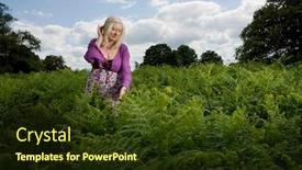  Presentation with ferns - Colorful PPT theme enhanced with woman-walking-in-a-meadow backdrop and a tawny brown colored foreground