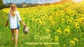  Presentation with walking - PPT theme consisting of woman walking in fresh sunflowers background and a tawny brown colored foreground
