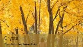  Presentation with autumn leaves - PPT layouts featuring woman-walking-in-park-picking background and a gold colored foreground