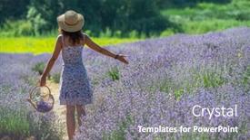  Presentation with woman gathering - Audience pleasing slide deck consisting of woman walking in the flowering lavender field and gathering flowers backdrop and a gray colored foreground