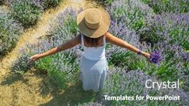  Presentation with woman gathering - Colorful presentation enhanced with woman walking in the flowering lavender field and gathering flowers backdrop and a dark gray colored foreground