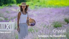  Presentation with woman gathering - Presentation theme having woman-walking-in-the-flowering background and a gray colored foreground