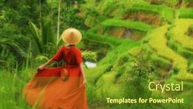  Presentation with rice - PPT theme having woman-walking-on-tegalalang-rice background and a tawny brown colored foreground