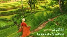  Presentation with rice - Theme with woman-walking-on-tegalalang-rice background and a tawny brown colored foreground