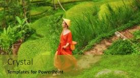  Presentation with bali - Presentation with woman-walking-on-tegalalang-rice background and a gold colored foreground
