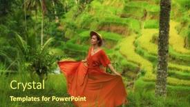  Presentation with rice - Colorful presentation theme enhanced with woman-walking-on-tegalalang-rice backdrop and a tawny brown colored foreground