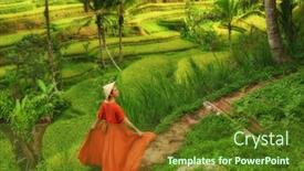  Presentation with rice - Presentation theme having woman-walking-on-tegalalang-rice background and a tawny brown colored foreground
