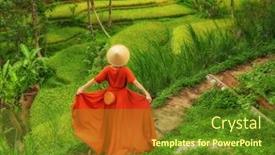  Presentation with bali - Audience pleasing presentation consisting of woman-walking-on-tegalalang-rice backdrop and a tawny brown colored foreground