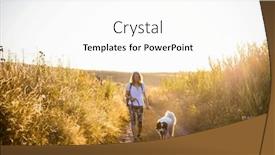  Presentation with dog cat sunset - Presentation design enhanced with woman-walking-with-dog background and a white colored foreground