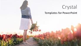  Presentation with tulip - 