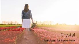  Presentation with tulip - Presentation theme with woman-walking-with-flowers-bouquet background and a coral colored foreground