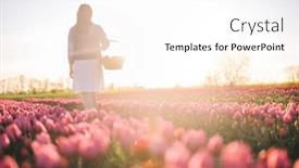 Presentation with tulip - Presentation consisting of woman-walking-with-flowers background and a  colored foreground