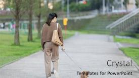  Presentation with dog park - 