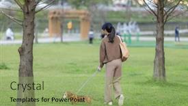  Presentation with dog park - 