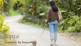  Presentation with dog park - 