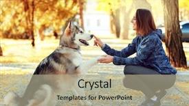  Presentation with dog park - Amazing PPT theme having woman walking with her dog backdrop and a  colored foreground