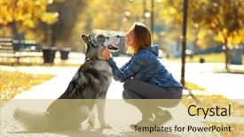  Presentation with sad woman walking - Beautiful theme featuring woman walking with her dog backdrop and a yellow colored foreground