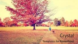  Presentation with pit bull - Theme featuring woman walking with her pit background and a coral colored foreground