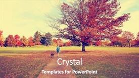  Presentation with pit bull - Presentation having woman walking with her pit background and a coral colored foreground