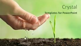  Presentation with sprout - Slide deck having woman watering young sprout on blurred background background and a mint green colored foreground
