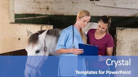  Presentation with vet - PPT theme having woman while standing by horse background and a teal colored foreground