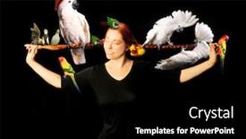  Presentation with long hair - Presentation design enhanced with woman who has multiple exotic birds in her very long red hair background and a black colored foreground