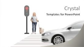  Presentation with poodle - Slide deck enhanced with woman-with-a-maltese-poodle background and a white colored foreground