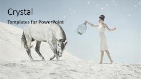  Presentation with warrior horse - Beautiful presentation featuring woman with a white horse backdrop and a lemonade colored foreground