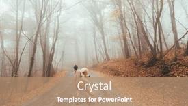  Presentation with foggy forest - Audience pleasing presentation consisting of woman-with-big-plush-teddy backdrop and a coral colored foreground