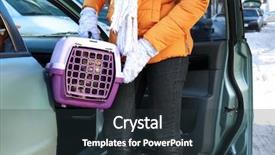  Presentation with car carrier - Theme enhanced with woman with cat in carrier background and a tawny brown colored foreground
