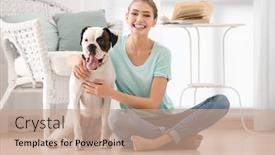 Presentation with boxer dog - PPT theme enhanced with woman with cute white boxer dog indoors pet adoption background and a coral colored foreground