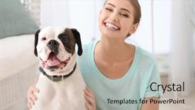  Presentation with boxer dog - Audience pleasing slide set consisting of boxer dog indoors pet adoption backdrop and a mint green colored foreground