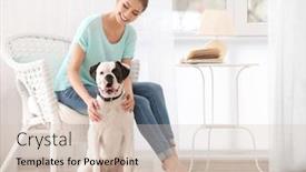  Presentation with boxer dog - Amazing presentation design having woman with cute white boxer dog indoors pet adoption backdrop and a soft green colored foreground