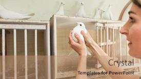  Presentation with dove - Presentation having woman-with-dove-in-pigeon background and a coral colored foreground