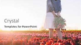  Presentation with tulip - 