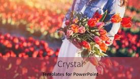  Presentation with tulip - 