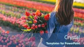  Presentation with tulip - 