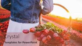  Presentation with tulip - Slides with woman-with-flowers background and a  colored foreground