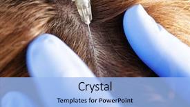  Presentation with hair loss - Presentation design enhanced with woman with hair loss problem background and a light blue colored foreground