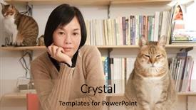  Presentation with free cat - Slide deck featuring executive lounge - businessman dressed in suit and background and a gray colored foreground