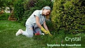  Presentation with garden - PPT layouts enhanced with woman-with-hoe-grows-flowers background and a tawny brown colored foreground