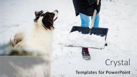  Presentation with white snow - PPT theme having woman-with-shovel-cleaning-snow background and a sky blue colored foreground
