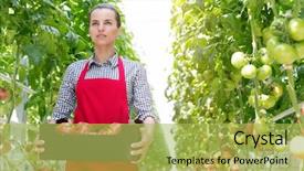  Presentation with confident - Slide deck with woman with tomatoes in crate background and a yellow colored foreground