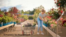  Presentation with outdoors - Slide deck with woman-with-trolley-outdoors and a coral colored foreground