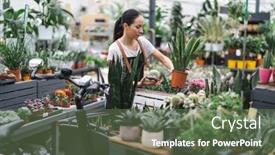  Presentation with garden - Presentation design consisting of woman-working-in-a-garden background and a  colored foreground