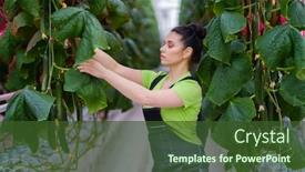  Presentation with greenhouse - Theme enhanced with woman-working-in-a-greenhouse background and a tawny brown colored foreground